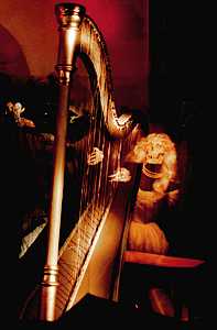 Nathan's Harp