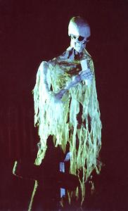Wandering Skeletal Spirit