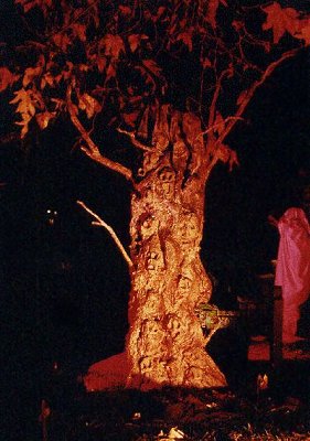 Tree of Souls 1989