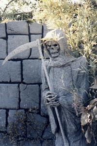 Visiting Reaper